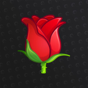 گیفت گل رز